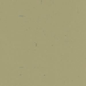 0214 LU Зеленый Тенеро (глянец) PF