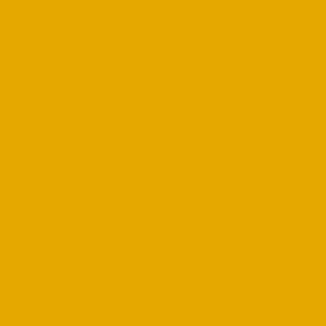LSC-curry